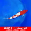 Alevines Vivos de Pez Dorado Ornamental Rojo y Blanco de Raza Pura para Agua Fría, Pez Ornamental Koi Rojo Resistente al Agua Dulce Tricolor