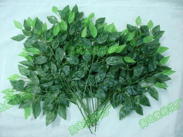 新榕树1