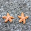 Estrella de Mar Pequeña Estrella de Mar de Cinco Puntas Estilo Mediterráneo Adornos de Resina Micro Paisaje Decoración Creativa Modelo en Miniatura