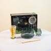 Juego de té Matcha de vidrio estilo japonés con caja de color, batidor de Matcha, tazón de Matcha, soporte para batidor de Matcha, juego de 7 piezas