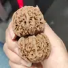 Juego de Cuatro Piezas de Adornos Premium de Nogal Hechos a Mano con Patrón de Kirin, Sombrero Oficial y Diseños de Cabeza de León para Manipular y Jugar con Nueces Antiguas