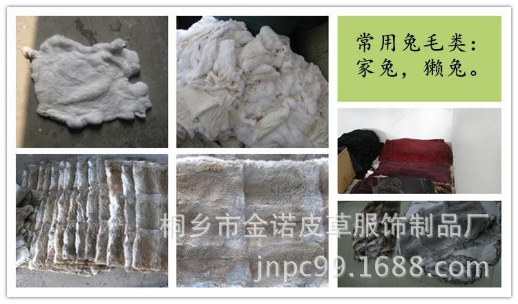 兔毛类5