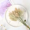 Buquê Moderno Simples Ins de Flores Reais e Secas Marionete Abraçável Decoração de Casa Ornamentos Criativos DIY para Sala de Estar