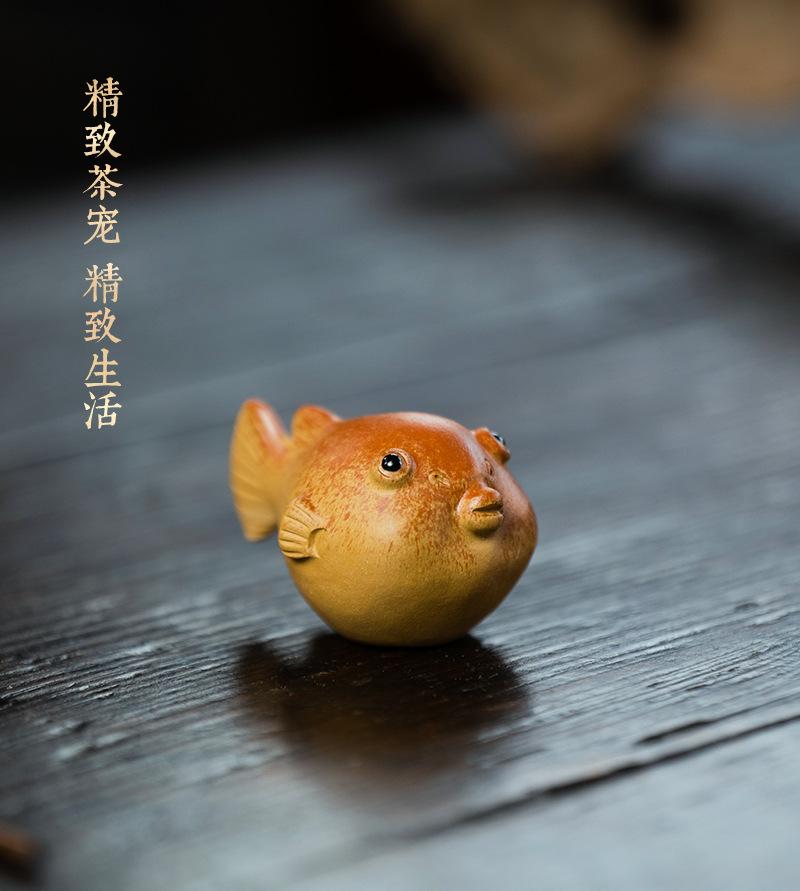 小河豚20210616 (14).jpg