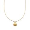 Fiebre de Blogger Coreano Collar de Concha Estilo Similar Femenino ins Diseño Nicho Cobre Chapado Oro Real Cadena Simple Apilada para Clavícula