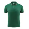 Camisa Polo de Algodón y Seda Trabajo Personalizado Estampado de Logo Cuello Solapa Manga Corta Hecho a Pedido Camisa Publicitaria de Gama Alta Atuendo para Empleados Corporativos
