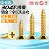Tornillos Dorados Acero Inoxidable 304 Cabeza Plana Autorroscantes Titanio Recubierto Cabeza Avellanada Phillips Tornillos para Madera M2M3-M6