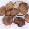 Materiais Naturais de Frutas, Cascas e Sementes de Plantas por Libra para Carrilhões de Vento Artesanais DIY, Pacote Atacado de Materiais de Frutas Secas