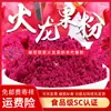 Suministros del Fabricante Polvo de Pitahaya Liofilizada Materias Primas al por Mayor para Hornear Colorante para Pasteles Polvo Puro Polvo de Pitahaya Liofilizada