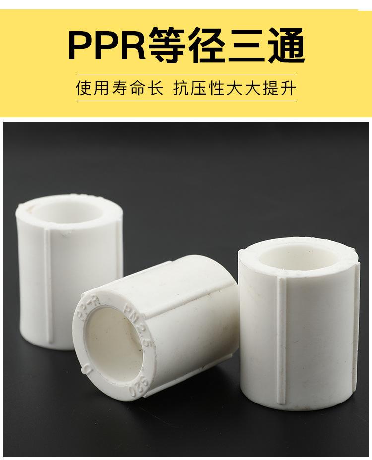 PPR等径直接_03.jpg