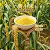 Mijo amarillo, cosecha nueva, mijo glutinoso de producción agrícola para gachas, mijo oleaginoso, granos enteros, mijo amarillo pequeño para cocinar gachas, mijo al por mayor