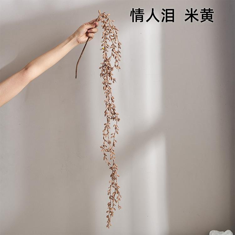 秋色叶sku情人泪 米黄