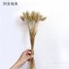 [Hierba de cola de conejo] Hierba de cola de conejo con flores secas de Yunnan, hierba de cola de perro, lindo ramo, accesorios de fotografía