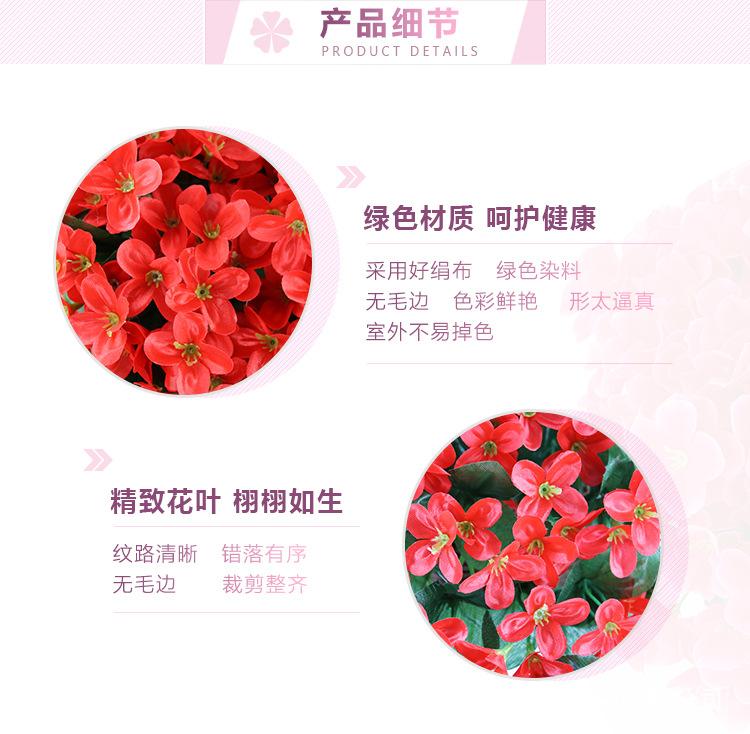 小紫罗兰壁挂_03.jpg