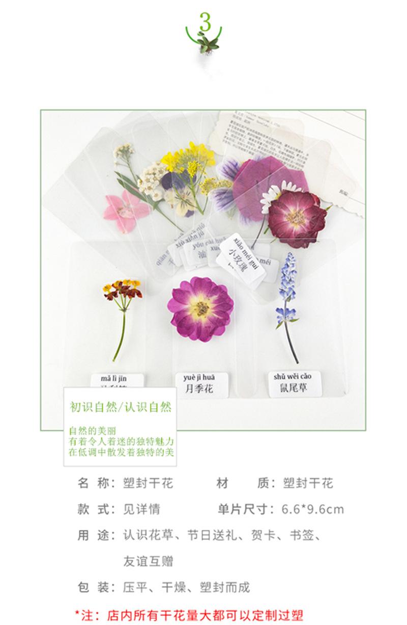 详情干花_06_副本.jpg
