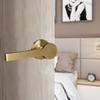 Manija de Puerta de Acero Inoxidable Oro Cepillado Puerta de Casa Puerta de Oficina Manija Sólida Estándar Australiano Manija de Acero Inoxidable Cerradura en Stock