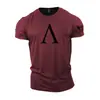 Tótem Espartano Impreso en 3D Transfronterizo Europeo y Americano Nuevo Camiseta Casual de Manga Corta para Hombre Venta Directa del Fabricante Fuente