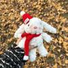 Peluche de Conejo de Orejas Caídas Llavero Colgante Muñeca Pareja de Conejos Decoración de Mochila Regalo de Cumpleaños Máquina de Garra