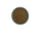 Extracto de Semilla de Azufaifo 30:1, Saponinas de Semilla de Azufaifo, Polvo de Extracto de Azufaifo Soluble en Agua, Stock Listo del Fabricante