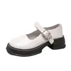Zapatos Mary Jane de Plataforma con Tacón Grueso Estilo Británico para Mujer, Nuevos de Primavera 2026, Zapatos de Cuero Versátiles Retro sin Cordones
