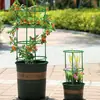 Soporte para Flores para Uso en Interiores en Casa, Tipo Universal para Flores Pinza de Cangrejo, Soporte para Hoja de Loto, Maceta de Jardinería, Repelente de Pájaros para el Hogar