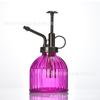 Regadera de vidrio transparente transfronteriza de color para escritorio, rociadora de plantas verdes carnosas, herramientas de riego para jardinería, adornos al por mayor
