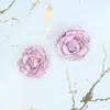 Aretes, Pulseras, Colgantes DIY de Flor Seca de Rosa Pintada con Spray de Resina, Flores Reales, Accesorios para Uñas Estilo Bosque Super Hada Ojo de Oveja