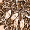 Sementes de Melão Aromatizadas Qiaqia no Atacado, Snacks de Sementes de Girassol Multissabores para Supermercados, Lojas de Conveniência, Repúblicas e Tempo de Lazer