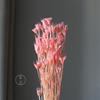 Flor seca flor octogonal Violeta ramo de flor seca fábrica mayoreo Navidad flor octogonal pequeña fresca pastoral flores decorativas