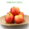 Nochebuena Manzana Roja Juguete Infantil Manzana Ponderada Accesorio para Disparar Manzanas Tacto Realista Modelo de Fruta Falsa