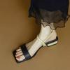 2025 Nuevas Sandalias de Punta Cuadrada a Juego de Colores de Tacón Bajo con Una Tira para Mujer Verano Tacón Grueso Diseño de Punta Abierta Zapatos Romanos