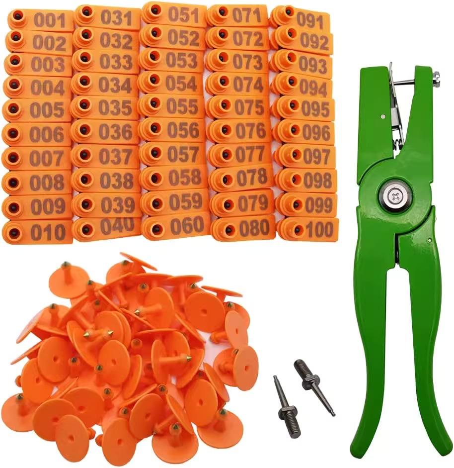 O1CN01JgLPnV1TQiVNId8wb_!!1039