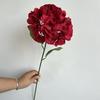 Cerimônia de casamento simulada com 54 peças de hortênsia, auditório, floral, embelezamento suave, fileira de flores decorativas, base, decoração de hortênsia