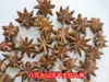 Anís Estrellado Liofilizado Anís Estrellado Rojo Grande Especias al por Mayor Anís Estrellado de Guangxi Anís Estrellado Rojo Hinojo Pequeño Anís Estrellado