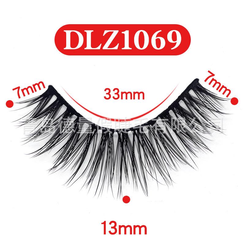 DLZ1069.jpg