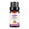 Empaque Completamente en Inglés Aceite Esencial Único de Árbol de Té para Fragancia de Velas DIY, Aceite Esencial de Árbol de Té, Aceite Esencial de Aromaterapia de Árbol de Té