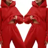 2025 Nova Coleção Primavera Amazon Conjunto de Moletom Feminino Transfronteiriço Cor Sólida Casual Moda Conjunto de Duas Peças Estiloso Casual