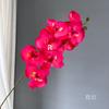 8 Cabezas de Orquídeas Phalaenopsis para Decoración de Boda, Arreglo Floral para la Habitación de Boda, Orquídeas Phalaenopsis Morandi