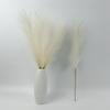 Venta Caliente Transfronteriza 55cm Caña Simulada de un Solo Tallo para Bodas Decoración del Hogar Caña de Cabello al por Mayor Multicolor Opcional