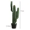 Cacto Artificial Planta Verde Decorativa em Vaso Biónica Tropical Desértica Pacote de Paisagismo Combinação Falso Cactus