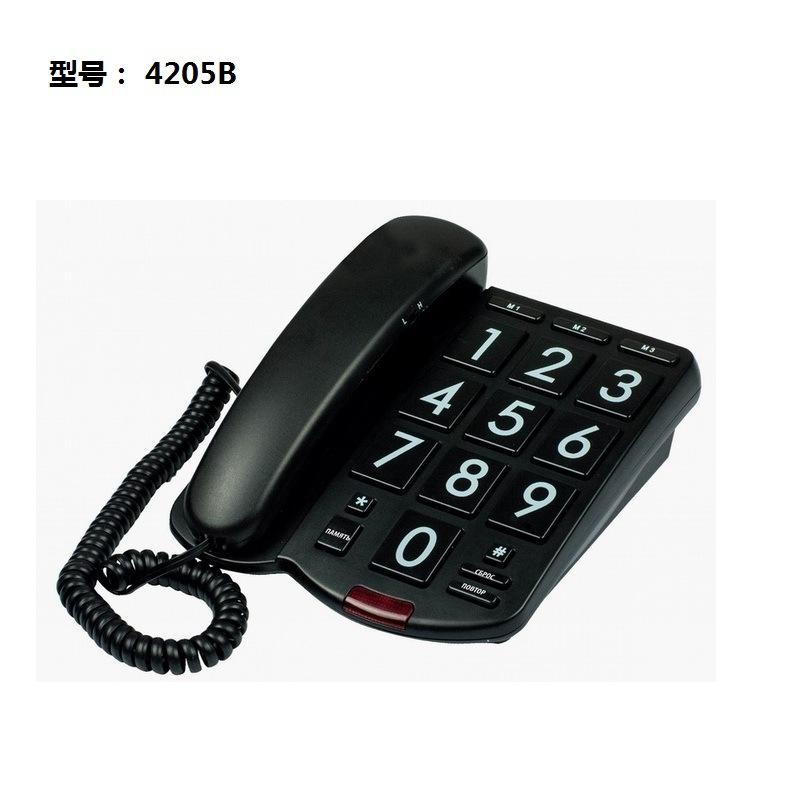 4205B.jpg