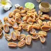 El abulón seco de siete estrellas se seca completamente al sol, es grande, carnoso, rico en nutrientes, delicioso, de alta calidad, asequible y ofrece una excelente relación calidad-precio.