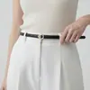 2026 Nuevo Cinturón de Cuero para Mujer Estilo Coreano con Hebilla Dorada, Elegante Cinturón de Gamuza para Decorar Vestidos y Pantalones, En Stock
