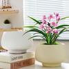 Maceta de cerámica de una pieza para el cabello, extragrande, ligera, de lujo, estilo Ins, de alta calidad, para el hogar, con flores carnosas de Phalaenopsis.