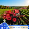 Colheitadeira de milho pequena com rodas agrícolas, equipamento de colheita de milho de montanha de fileira única empurrado à mão para uso doméstico fabricante