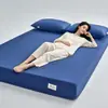 Roupa de Cama para Dormitório Estudantil Cor Sólida 100% Algodão Lençol com Elástico Capa de Colchão Cobertura Total Elástico Saia Raiseda Lençol com Elástico Conjunto de Três Peças Capa Protetora