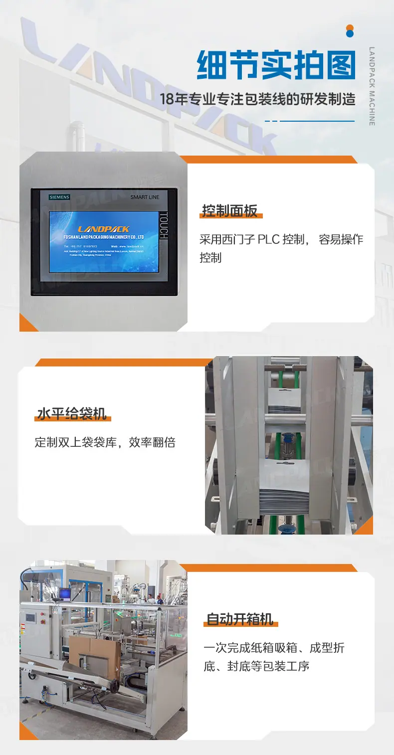 LDSP-210水平给袋包装线（水平给袋包装机+成品输送皮带