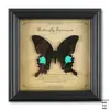 Moldura de foto de espécime de borboleta verdadeira, pintura decorativa de madeira de alta qualidade, decoração para casa, estilo europeu, moldura de foto retrô, mesa, presente de aniversário