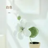 Fio Tricotado à Mão Flor Única Flor de Paulownia Arranjo de Cena de Flores Simulação Decoração de Flores Artificiais Decoração de Casa Fofa Quatro