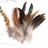 80 Tipos de Penas Naturais de Faisão, Penas Reais, Decorações Nativas Americanas, Acessórios DIY, Acessórios de Cabelo, Peças para Brinquedo de Vara para Gato